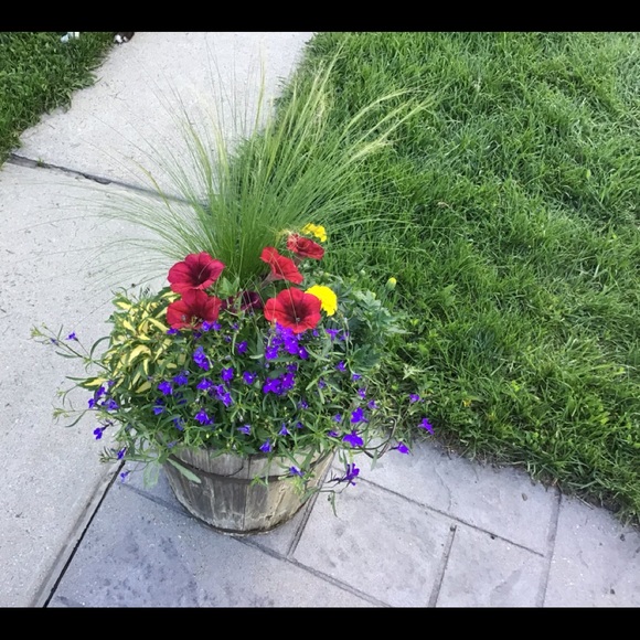 🌺 BORN Women’s 👠 Shoes - Picture 12 of 16